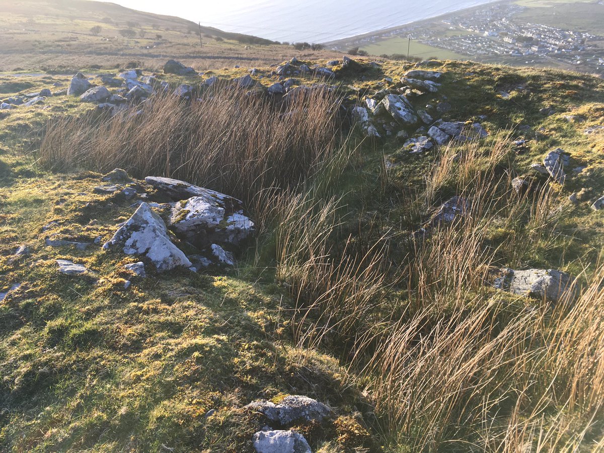 To the panoramic viewpoint over the Mawddach Estuary with mock Neolithic tomb and very recent scattering of ashes and just off the road I find for the first time a real cairn, pos Bronze Age - definitely robbed, this nothing-hill always offers me something new, every time (5)