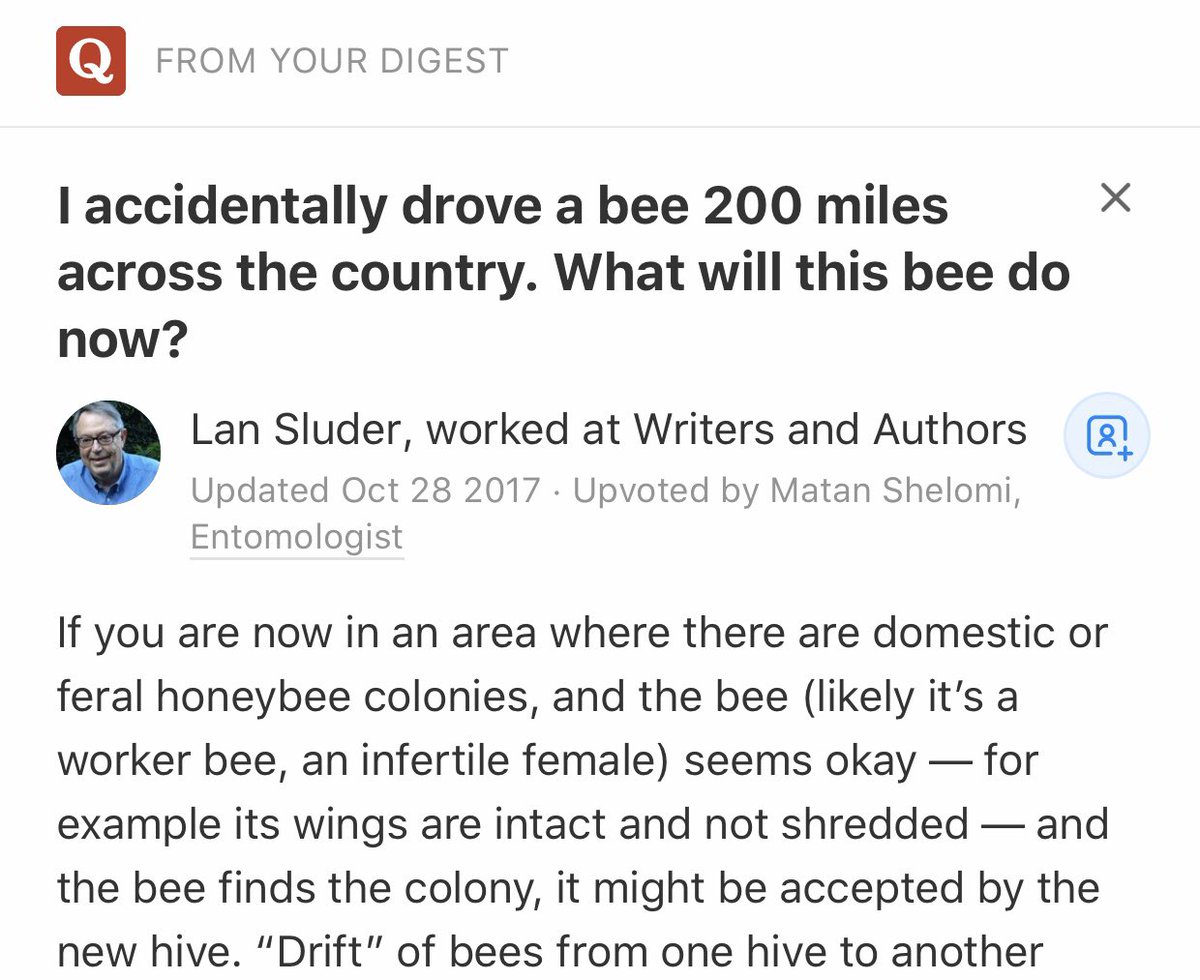 Everything about this is so wholesome and sweet. I’m imagining the genuine concern he felt upon discovering the unknown passenger, and the fact that it was so strong he was compelled to reach out for assurance.