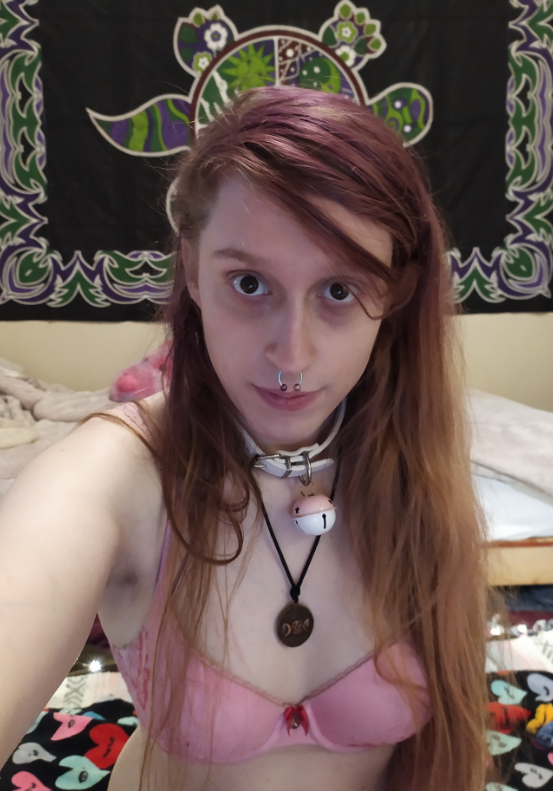 DesiresCyber's tweet photo. #transmodel #camgirl #model #babe #collaredgirls https://t.co/JtIzHt9Odx