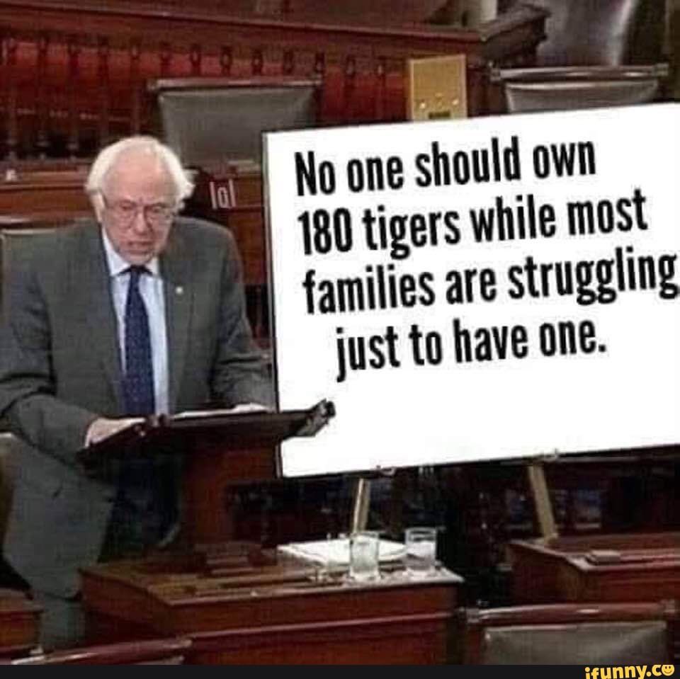 SaveBigCats tweet media