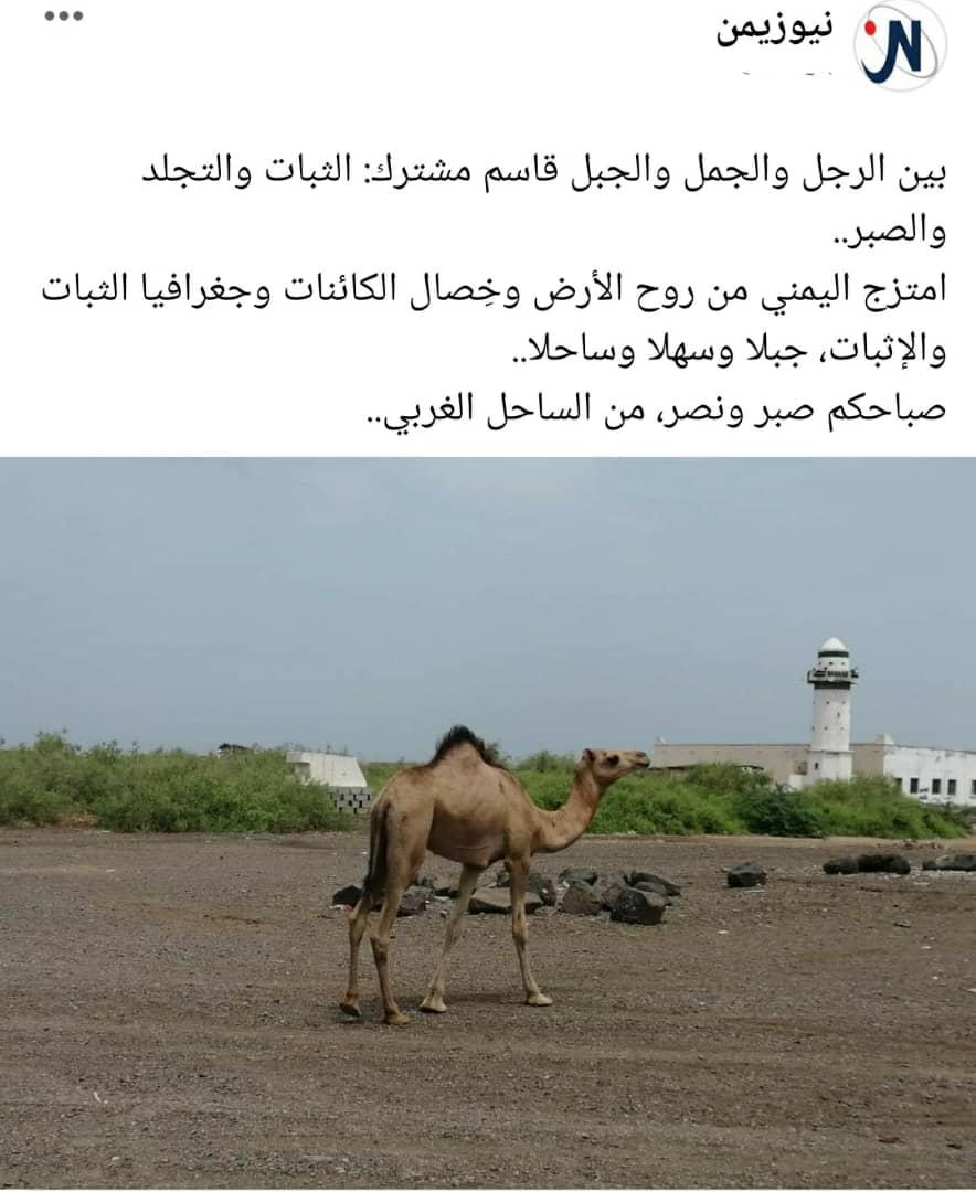 NaserBunAtef's tweet photo. https://t.co/d0AZvbl51t