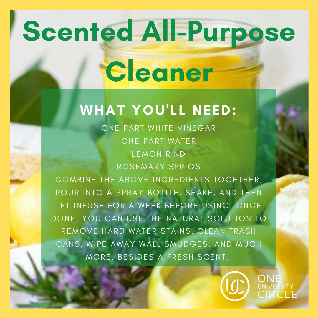 What a great time to start SPRING CLEANING 🍋 
Check out this great DIY All- Purpose Cleaner Recipe From Good Housekeeping.