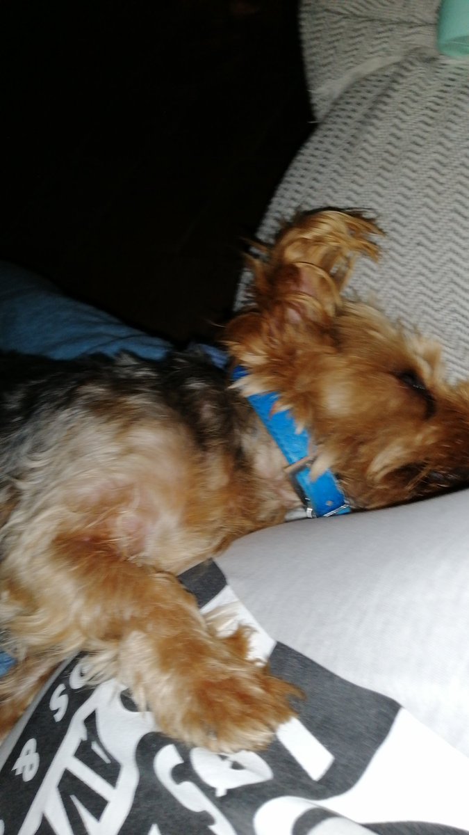 ExpositMaria's tweet photo. #EnCasaCon50Sombras bueno Curro duerme yo veo jaja https://t.co/yQElaC2tdJ