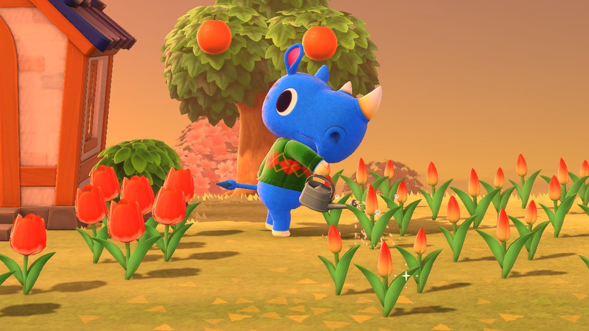 KingPlep's tweet photo. The nicest boi #AnimalCrossing #ACNH #NintendoSwitch https://t.co/1cNFmkIyZA