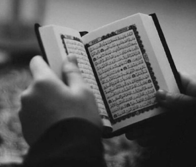 #BeratKandili Berat Kandilimiz mübarek olsun. Allah Beratımızı kabul ve makbul etsin inşallah Tüm dualarımız kabul olsun 🤲🏻