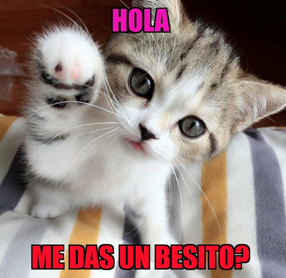 NO75200671's tweet photo. @monicapesc @carlostoti65 @maig201394 @SilviaSilperez @EugeniaJCastel3 @rlrosales @EugeniaJCastel2 @yokozino @Agu019 A mí sola me pasa que me levanto a las 10 hs con la cuarentena? https://t.co/4RBCi8GQdN
