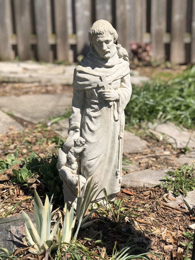 Sharon Stockmann tweet media