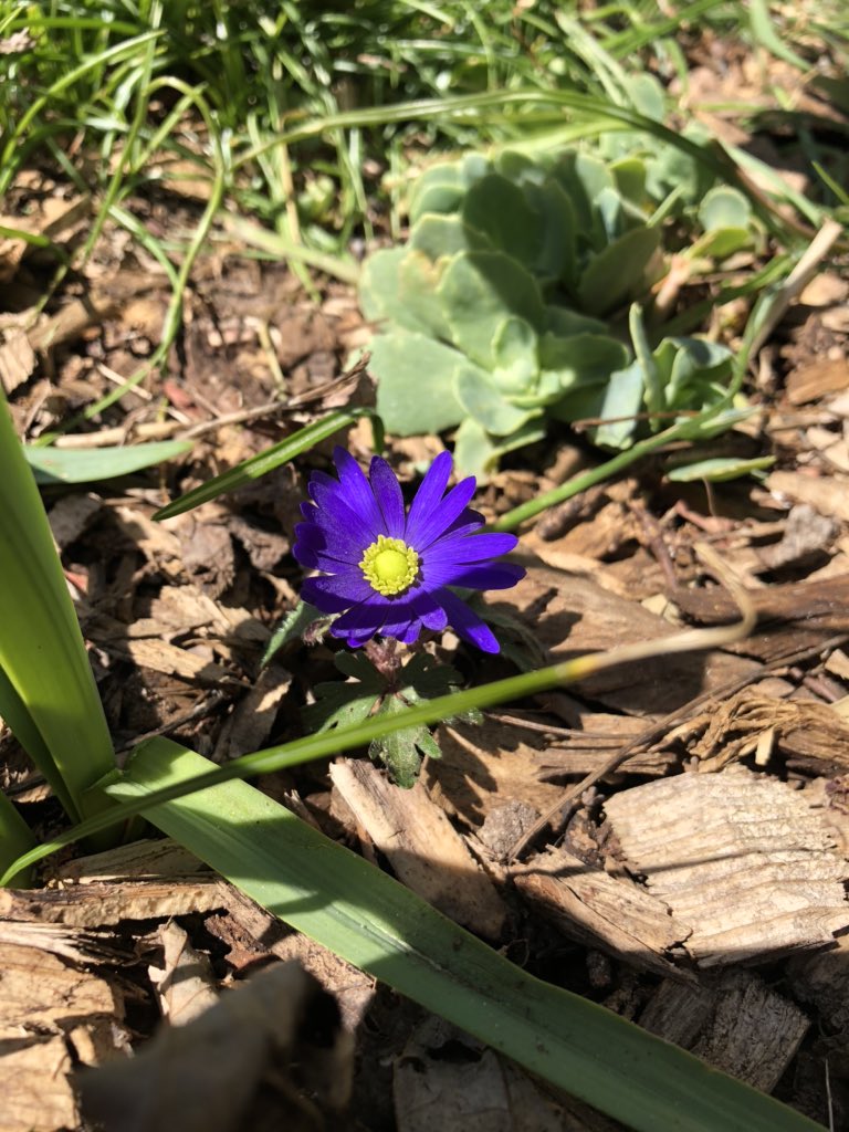 Sharon Stockmann tweet media