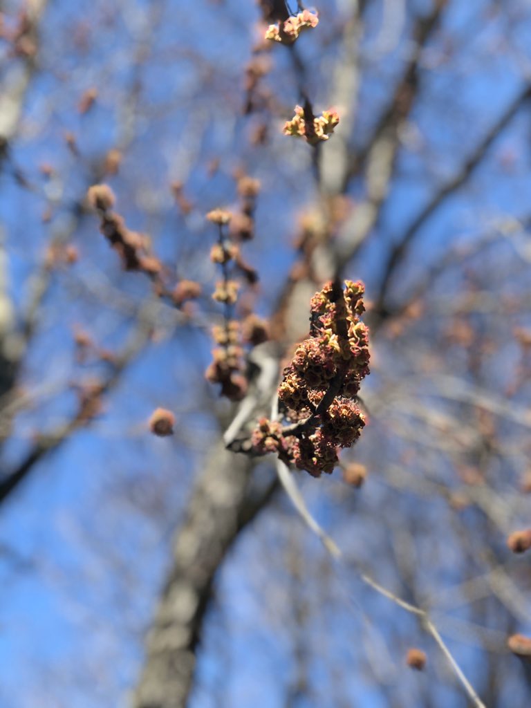 Sharon Stockmann tweet media