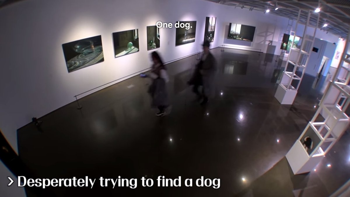 When you're looking for a good pupper