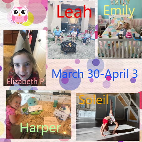 CarlsonElementary tweet media