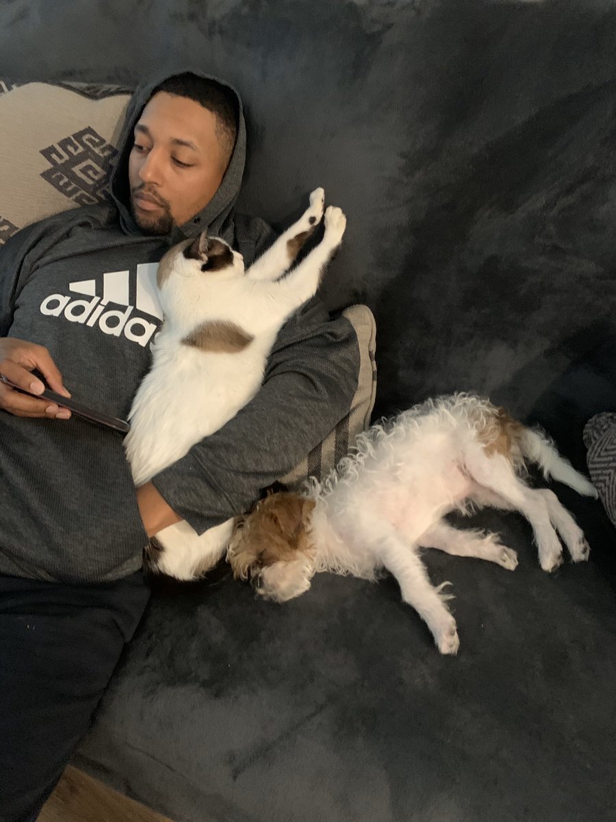 BehlauPE's tweet photo. 2 out 3. Bam and Juliet! Romeo is not big on group cuddles sessions, he prefers his one on one time 🤣🤣 https://t.co/tRLZup0m89