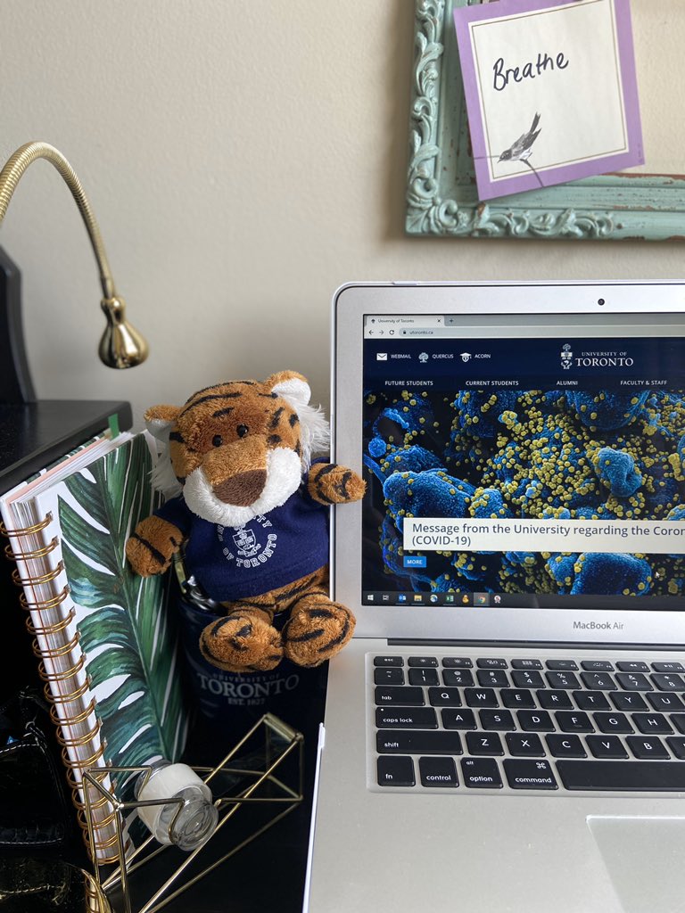zarine_a's tweet photo. While everyone is posting pics of their puppies, this is all I’ve got 😂
Meet T!! 🐅 

Ps. A reminder to breathe 

#WFH #staysanestaysafe 

@UofT https://t.co/VojiaeNIjp