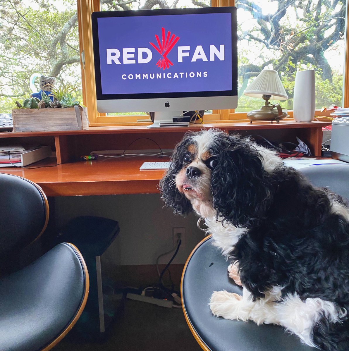 redfancomm's tweet photo. What does working at home look like for you? Our daily set-ups and cozy workspaces have our laptops, a comfy seat and almost always a 🐶��for company. #changeyourmindset #WFH https://t.co/haJ6MfNEwP