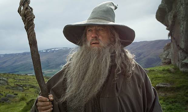BEST WIZARD?1. Gandalf from TLOTR/The hobbit2. Dumbledore from Harry Potter 3. Zedd from Legend of the seeker4. Gaius from Merlin