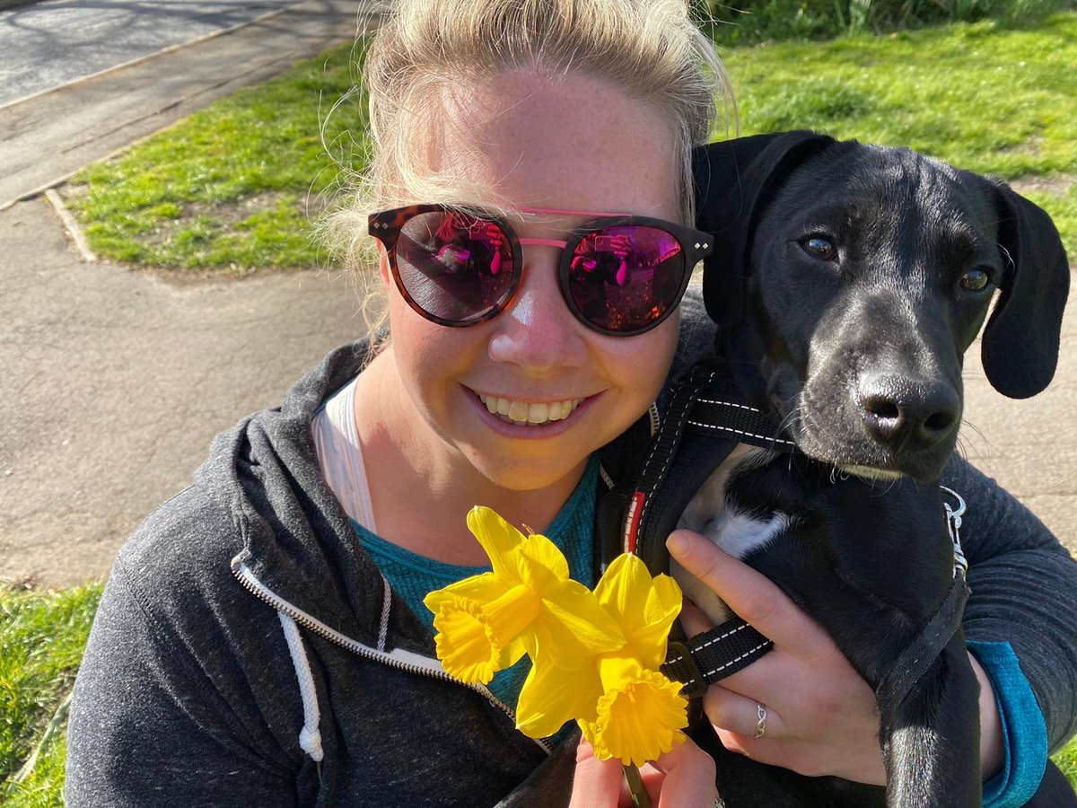 LouiseHunt1's tweet photo. This Pup should be a model! Loved our walk in the sunshine and daffodils this afternoon πΌ
#oneexcerciseaday #milo #puppy #puppygram #daffodils #dogsofinstagram π· @Womble27Claire https://t.co/pPOcApedHZ