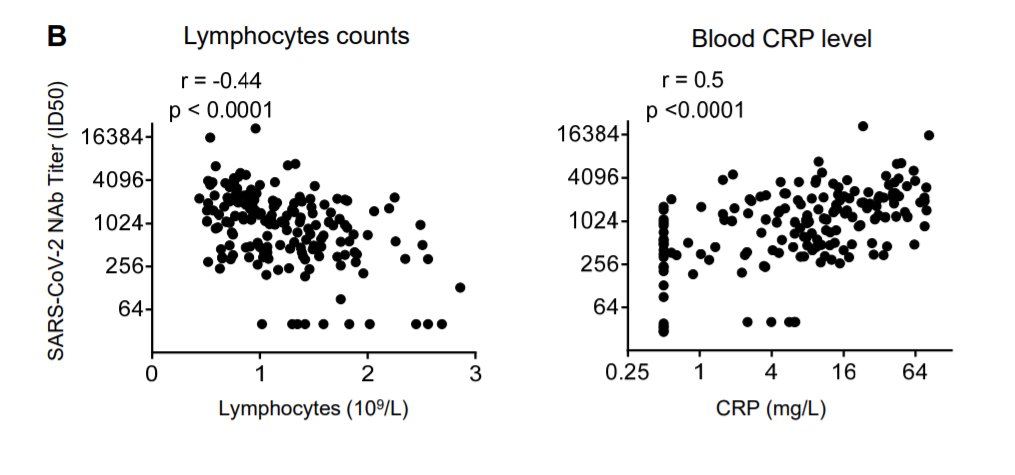 8/11 NAb titers negatively correlated with blood lymphocyte counts and positively correlated with blood CRP levels, suggesting that the humoral response might play an important role when cellular response is dysfunctional or impaired.