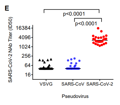 9/11 Despite 77.2% identical amino acids between SARS-CoV-2 and SARS-CoV spike proteins and cross-binding potential, COVID-19 convalescent plasma did NOT neturalize SARS-CoV, suggesting differences between  #SARSCoV2 and  #SARSCoV  #epitopes and  #immunogenicity