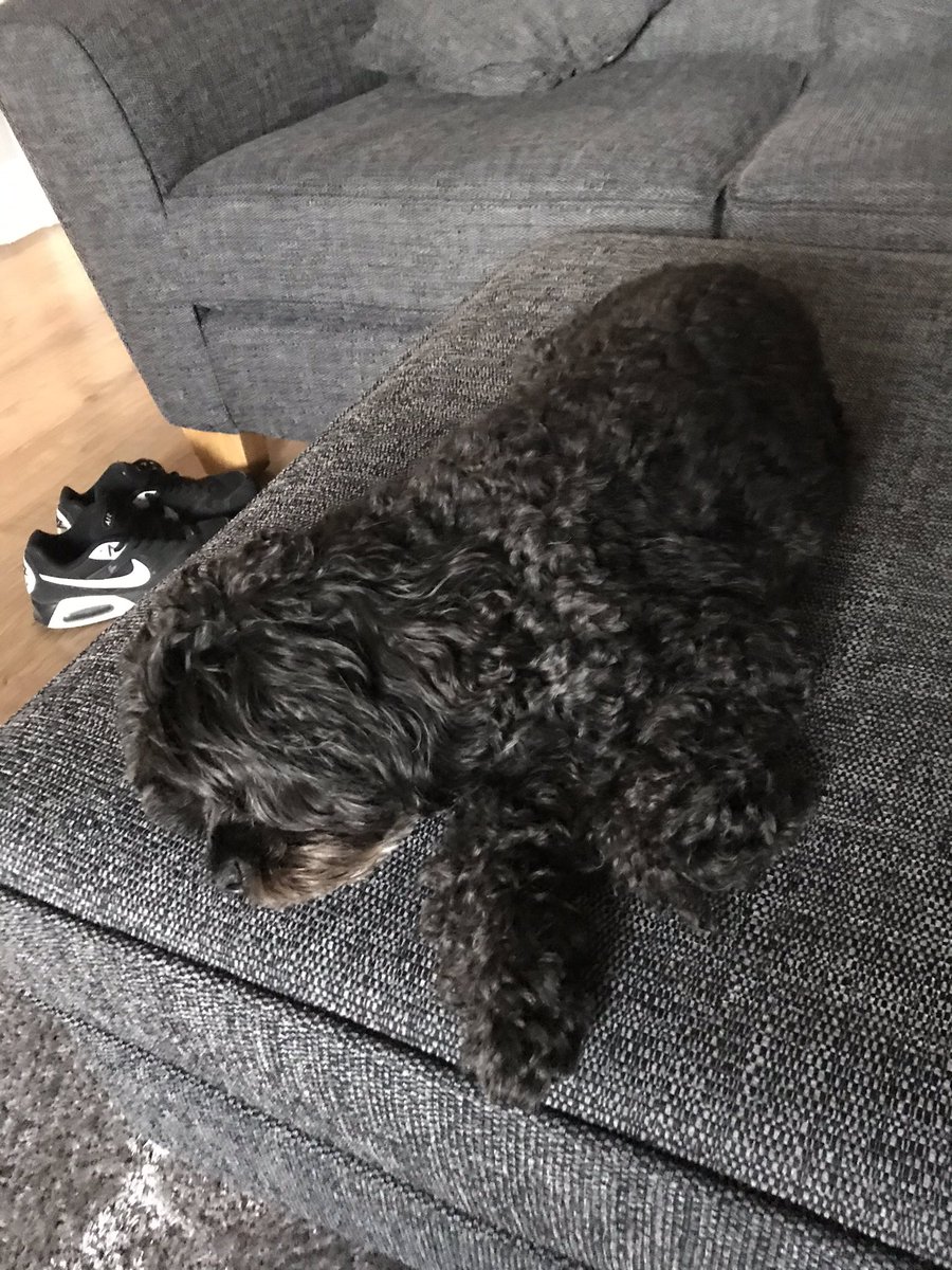 Sleeping! Isolation is perfect for me.