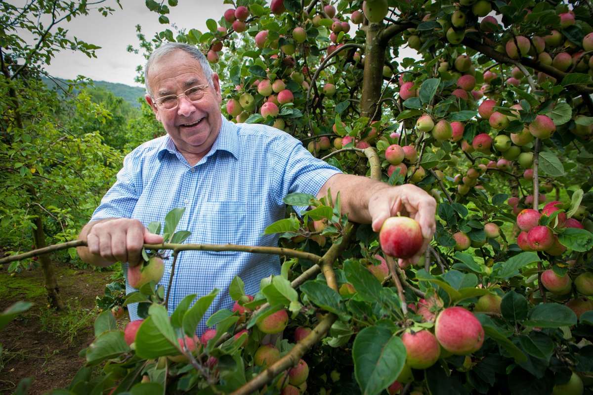 Happy Birthday to our 3rd generation Cidermaker John Thatcher! 

At the moment birthday celebrations may not be what we’re used to, but here’s a flashback to harvest time, when John was out checking on the 458 varieties of apples in his exhibition orchard. Cheers John 🎉🍎