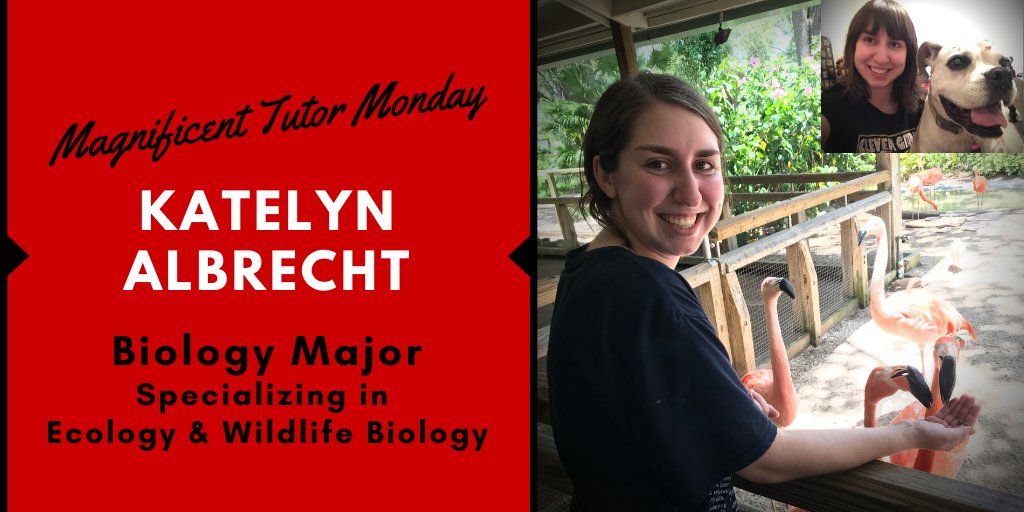 TECHniquesTTU's tweet photo. Introducing Katelyn Albrecht & Payton Benner - tutors for the TECHniques Center! Visit our Facebook/Insta posts to read about these amazing tutors, & see why the TC is such a special place on the TTU campus!
#texastech #TECHniquesTTU #MagnificentTutorMonday @ttu_sds https://t.co/FSssuzjCAL