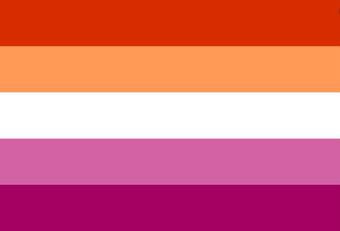 lesbian flag v3- nowadays the most popular flag because of its inclusivity and simplicity- top-bottom it means: transgressive womanhood, community, gnc and trans lesbians, freedom, love