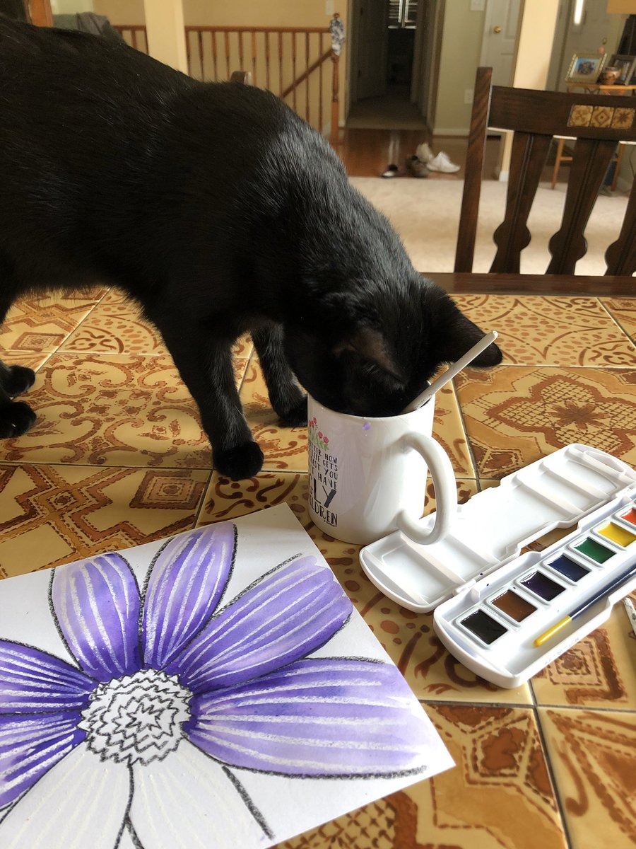 WES_wildcatART's tweet photo. The challenges of teaching art from home...not a good assistant! https://t.co/hlPScnn6EH
