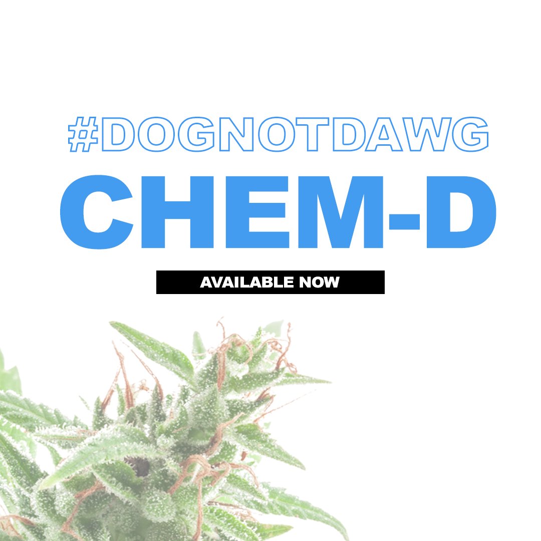 OnePlantUS's tweet photo. Chemdog aka "The Strain that Changed the Game" is currently available at all hubs! #DogNotDawg #TheRealChemD https://t.co/5emy5K6jpA