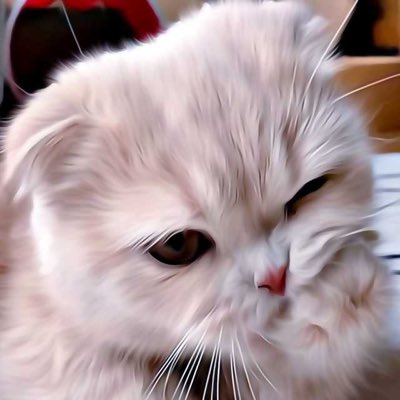uxbaecoolkids's tweet photo. เมี๊ยว @brighttonxcr #NewProfilePic https://t.co/HV7WSE4oV9