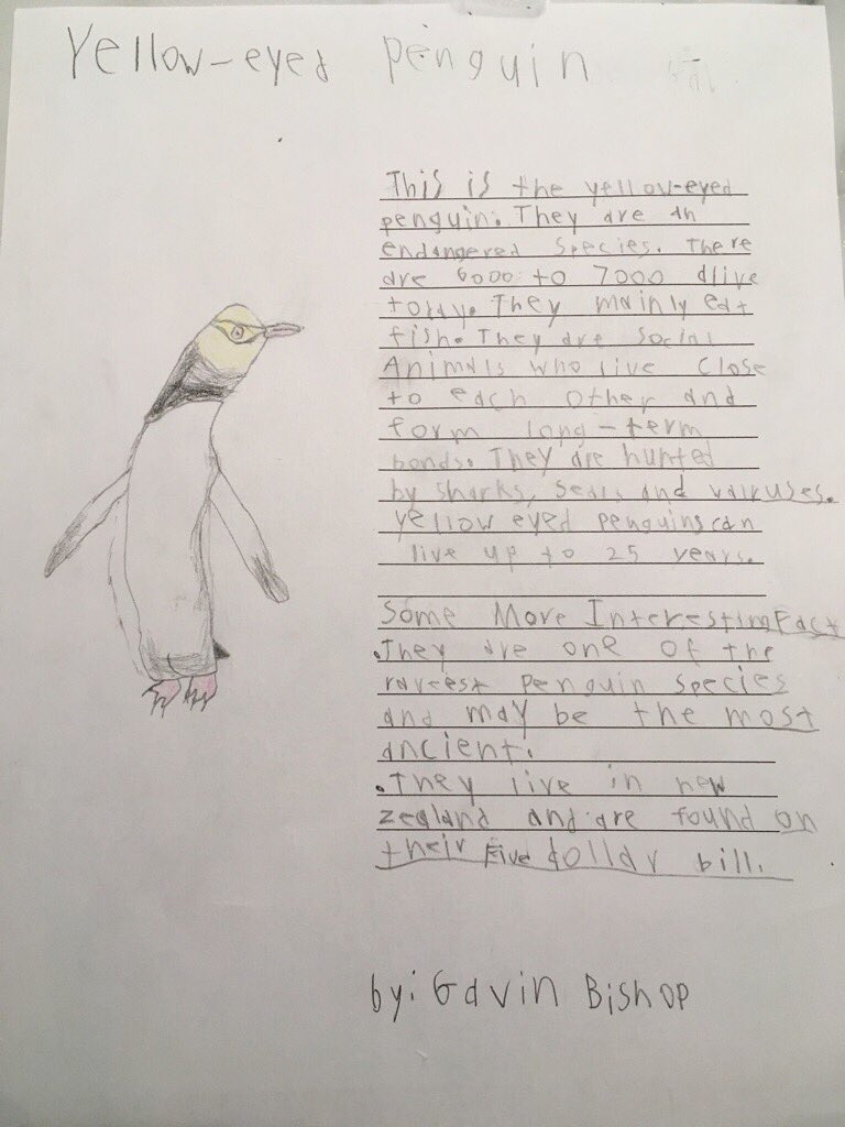 TerriLynnMorri7's tweet photo. We have some awesome student work from our endangered animals unit in my grade 2 class! Our plan was to publish a book and we will continue to do that! Just takes some creativity to get it done! @NLESDCA @HREschool @TerriLynnMorri7 #studenttreasurespublishing https://t.co/tsQBfKV0kr