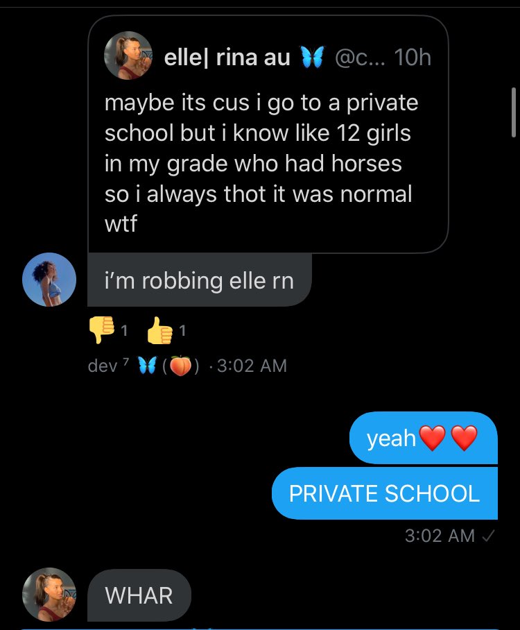 So, This All started around 2 am when  @velvetsfilms said that they were going to rob Baby Elli, so naturally our response was to agree because in another gc Im in (ebr) we’ve been planning to rob her. This was our convo Below (from yesterday 2 am)