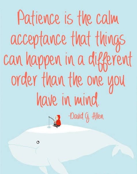 pallavipriya_'s tweet photo. Day13/21 #makechain
#21positivedays Always end d day wid a positive thought, no matter how things were.Tomorrow's a fresh opportunity 2 make it better.
Patience is not d ability to wait, bt d ability to keep a good attitude while waiting.
@TGTF_2018
@TeamIndiaFirst @TRVSTworld https://t.co/jCZTEG3akY