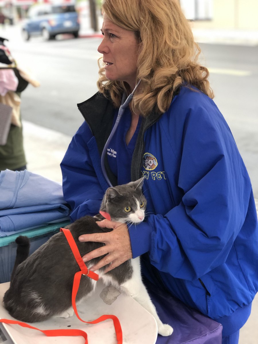 LUCYPETFDN's tweet photo. Week 4 of Quarantine has just begun in Los Angeles, and the team at The Lucy Pet Foundation is counting down the days until we can be of service to our community again 🐾 https://t.co/vnfO3xuwFx