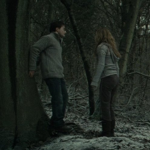 gayrauder's tweet photo. harry potter’s biggest fear:
○  fight a dragon 
○  kill a basilisk
○  confront voldemort 
●  hermione granger without a wand https://t.co/3QnroNLkM8