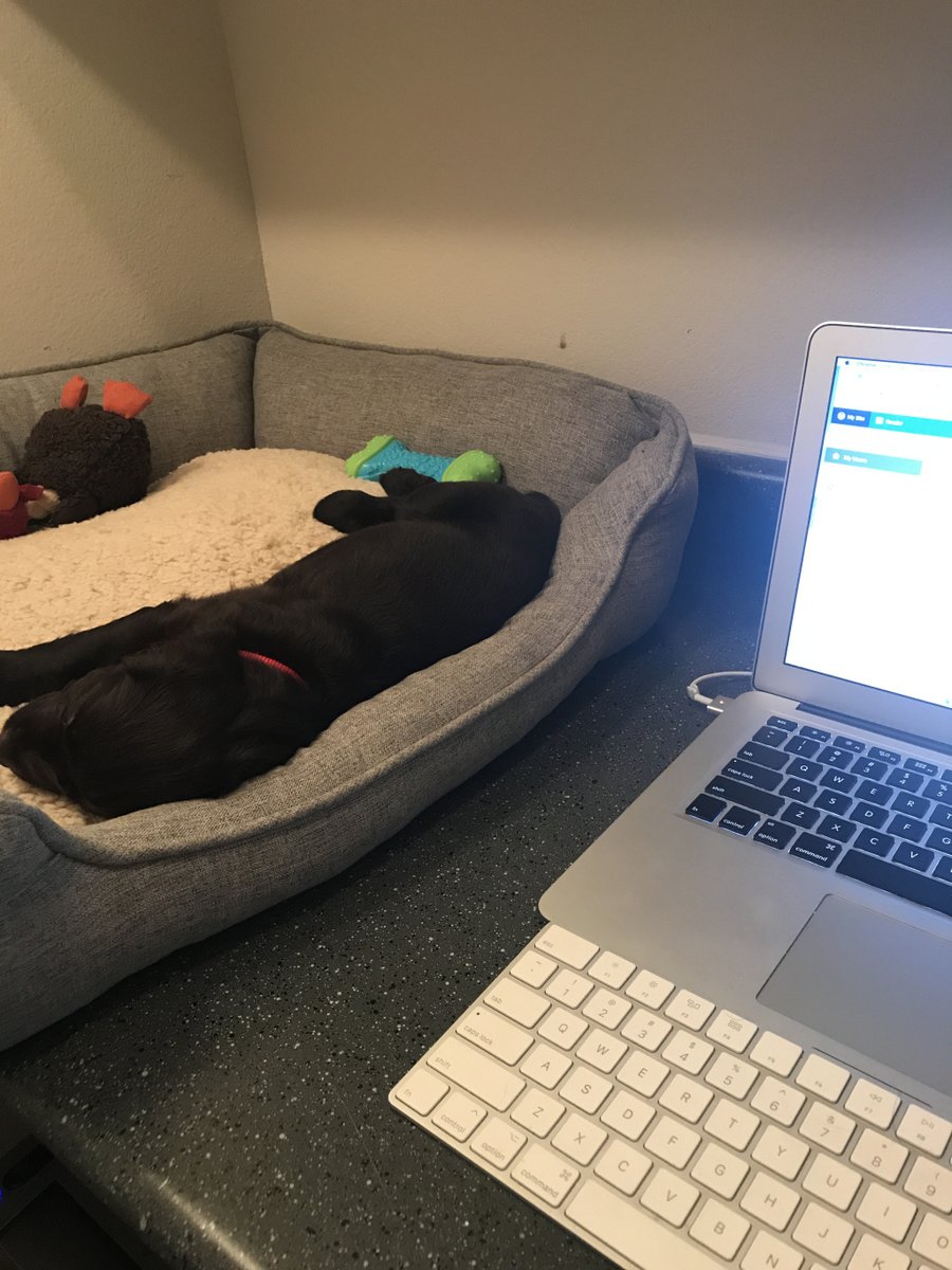 G4 Groups Update Week 4 john-h-chapman.com/2020/04/06/g4-…