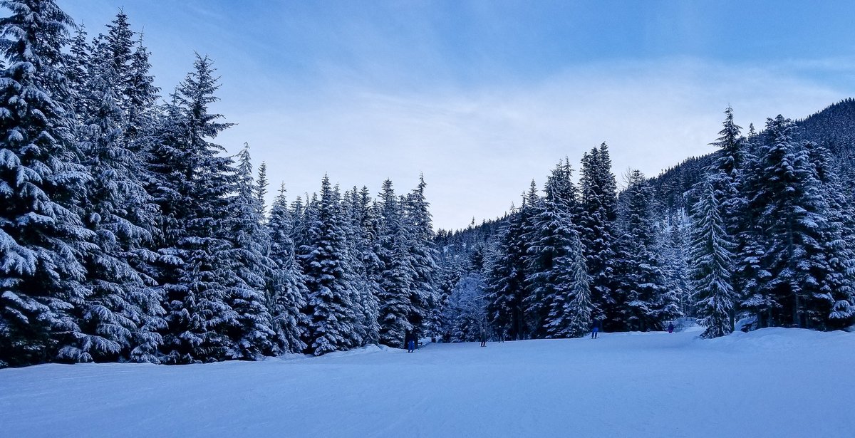 AnnaFeasts's tweet photo. @Delta Last year's ski trip to @WhistlerBlckcmb was pretty epic! Traveling and exploring the world is one of the things I miss most during this pandemic https://t.co/HTYPwfXHhr