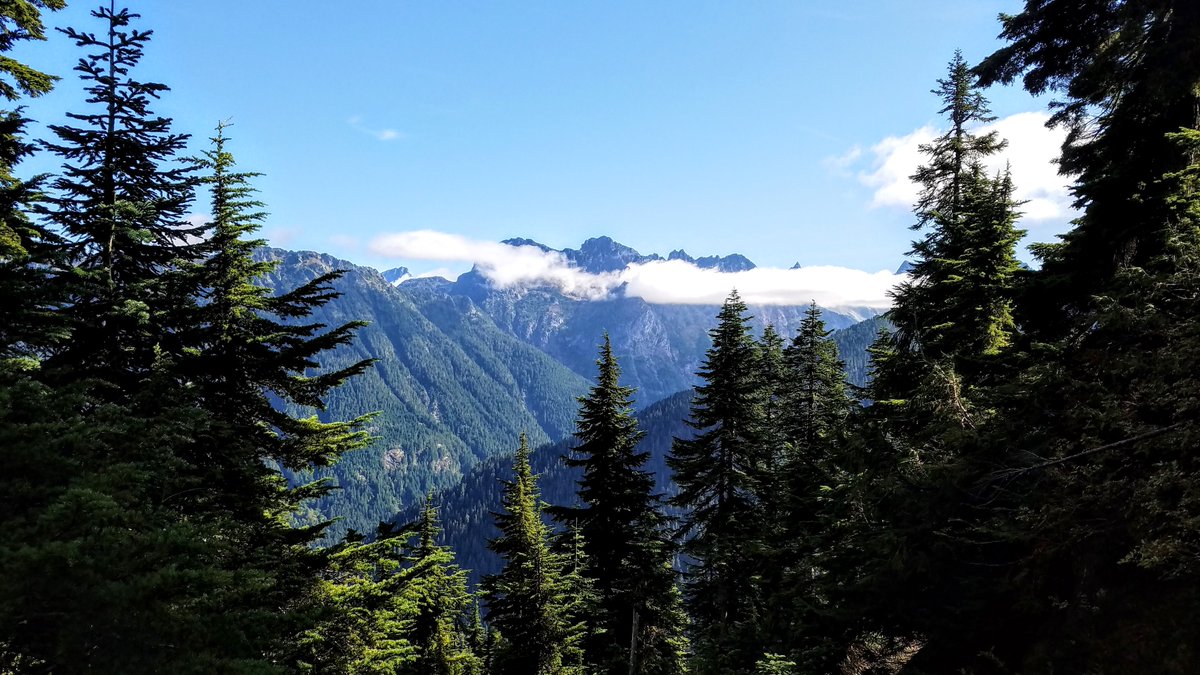 InkEvergreen's tweet photo. Documentation is the most direct way most companies interact with their customers and internal teams. Ensure it is a pleasant experience!
https://t.co/0MHVOxWE26
#MondayWisdom #EngineerWriter #TechnicalWriter #TechnicalDocumentation #Documentation
#Manual #Guide #SOP https://t.co/bJ5Qn62QIh
