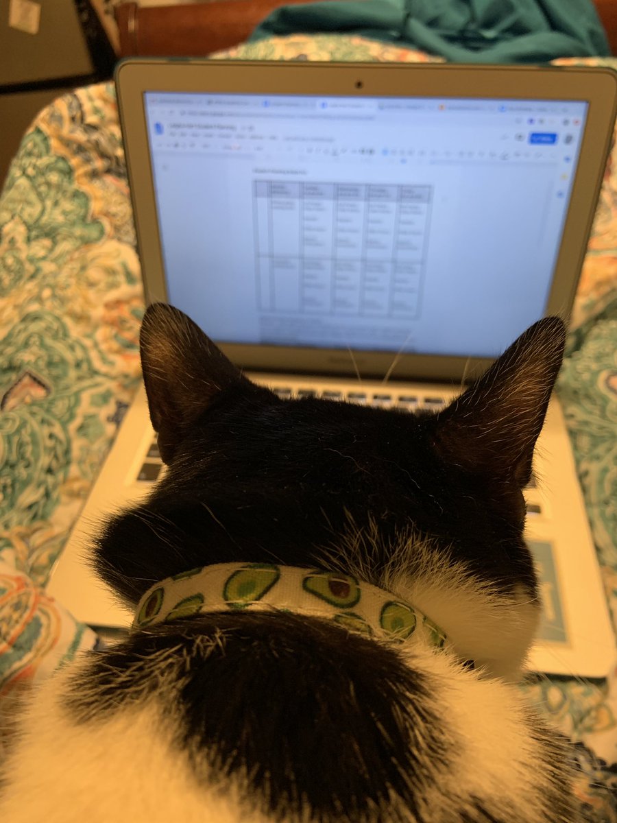 MsDubEDU's tweet photo. It’s the first day back to school! Working with my mentees to get these academic continuity plans ready so we can crush the rest of this year! (With a little help from Gibbs, of course) #PRSFirstDayBack #PikeRoadWay #PRHSPatriots https://t.co/srTncZtq4j