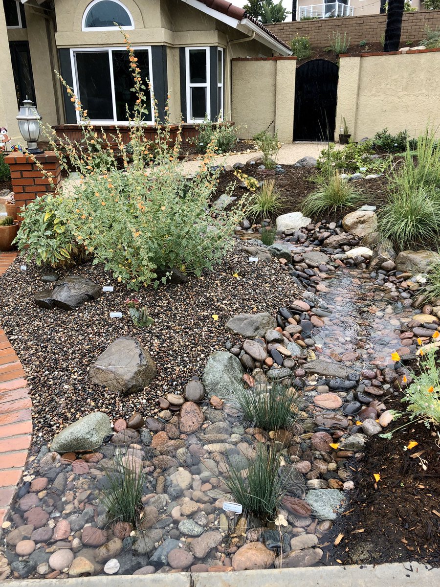Few sights bring me more joy than seeing these dry stream channels full. This is after about 1/2” of precious rain today &amp; 100s of gallons of water saved from the drain. Time for many more of these wouldn’t you agree?
#permeablelandscape #ecologicallandscaping #paradigmshift