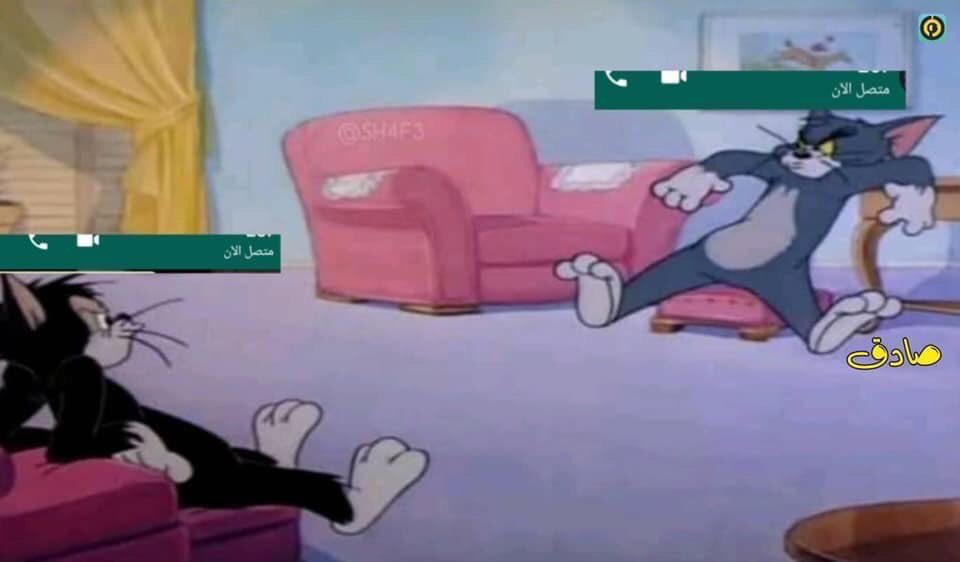 احمد منشي 🇸🇦 tweet media