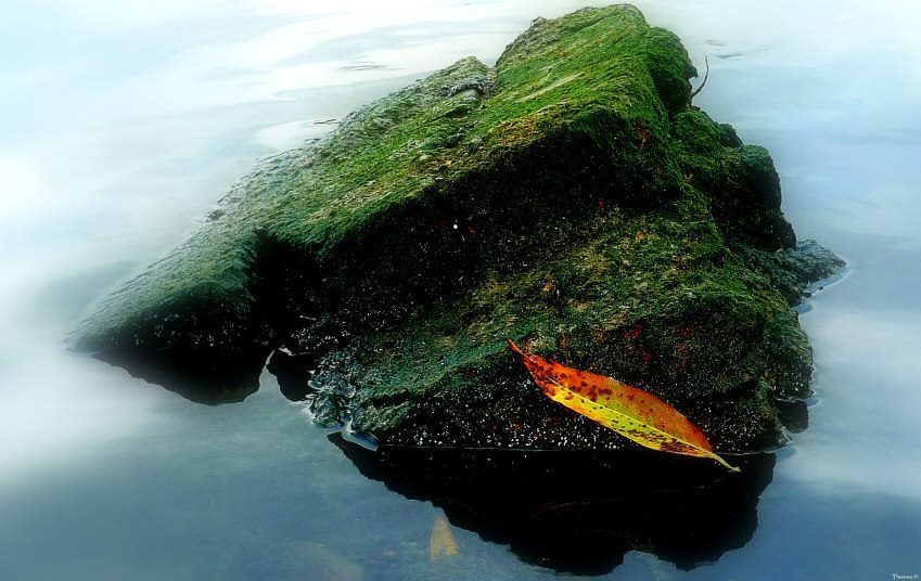 Happy new week everyone