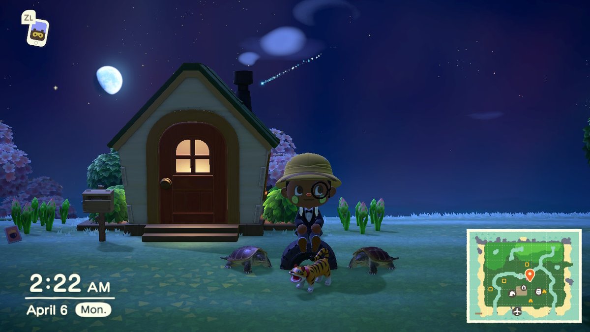 mobilemountain's tweet photo. #AnimalCrossing #ACNH #NintendoSwitch https://t.co/GkvnSj3ld7
