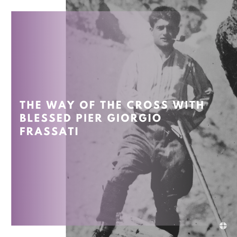 U.S. Conference of Catholic Bishops tweet media