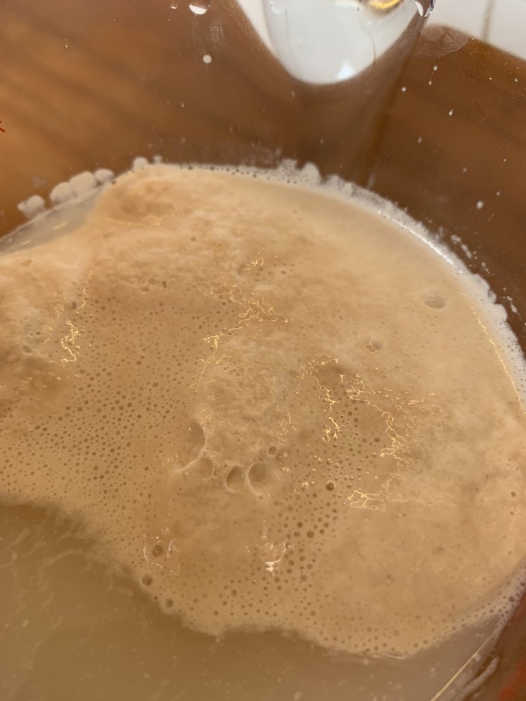 Dissolve the sugar in the warm water in a bowl or jug. Add the yeast and allow it to dissolve and activate. You’ll know it’s ready when it froths up on the top of the water.  #coronacooking