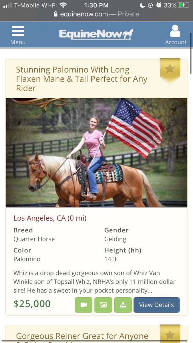 also, side note. Since she is living “normally” in La, the horses tend to be more expensive. We are looking at up to 25k+