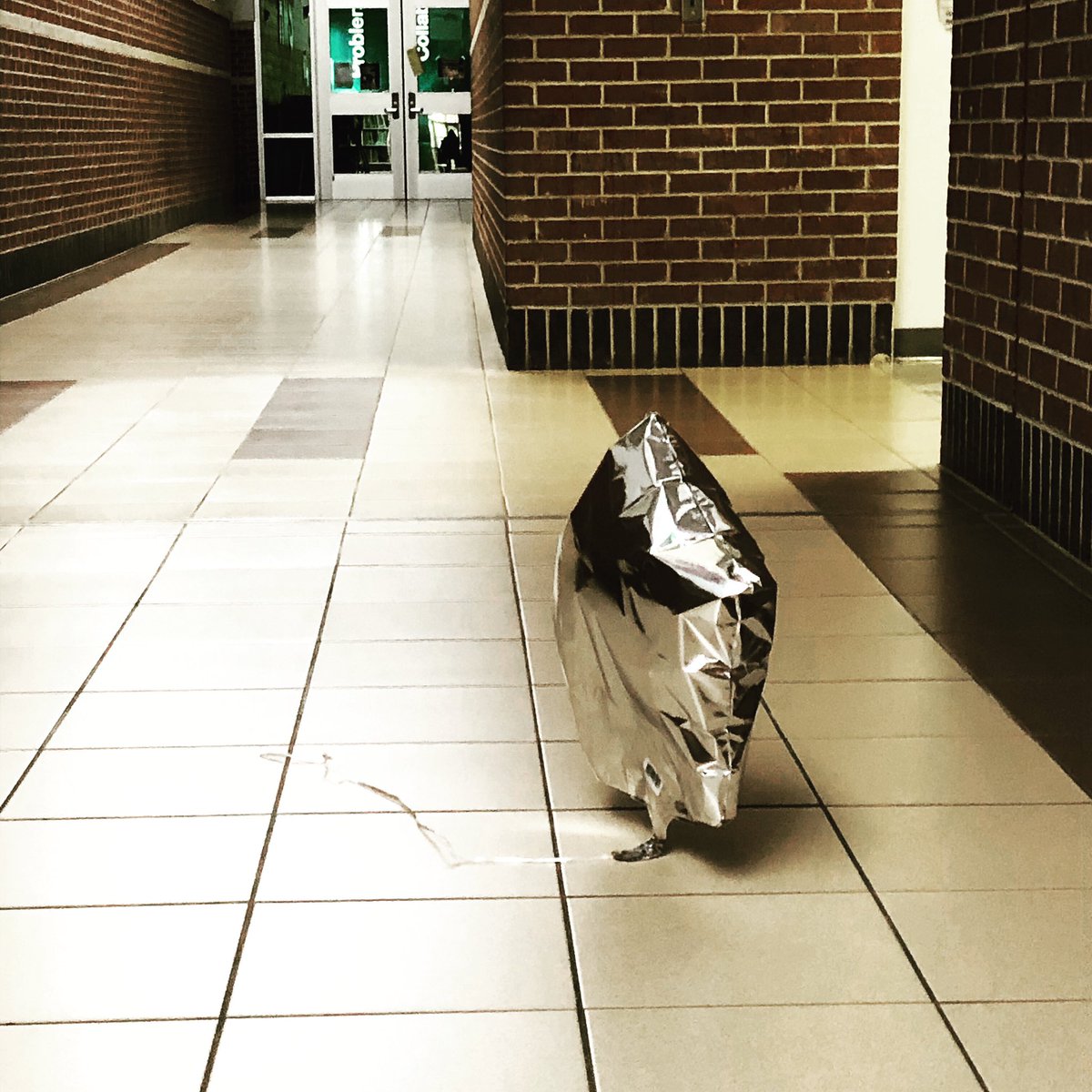 Stephanie Laney tweet media