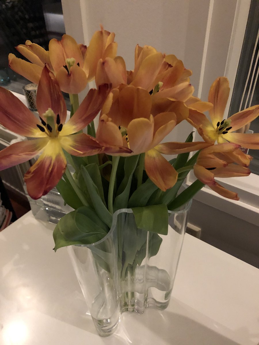 Ei sanoja, ei ihmisiä 5/7. No words, no people 5/7. I was challenged by @jani_siimes and <a href="/TiinaSatti/">Tiina Satti</a>, I challenge <a href="/nika_bendere/">Nika Bendere</a> . #elämänikuvina #mylifeinpictures