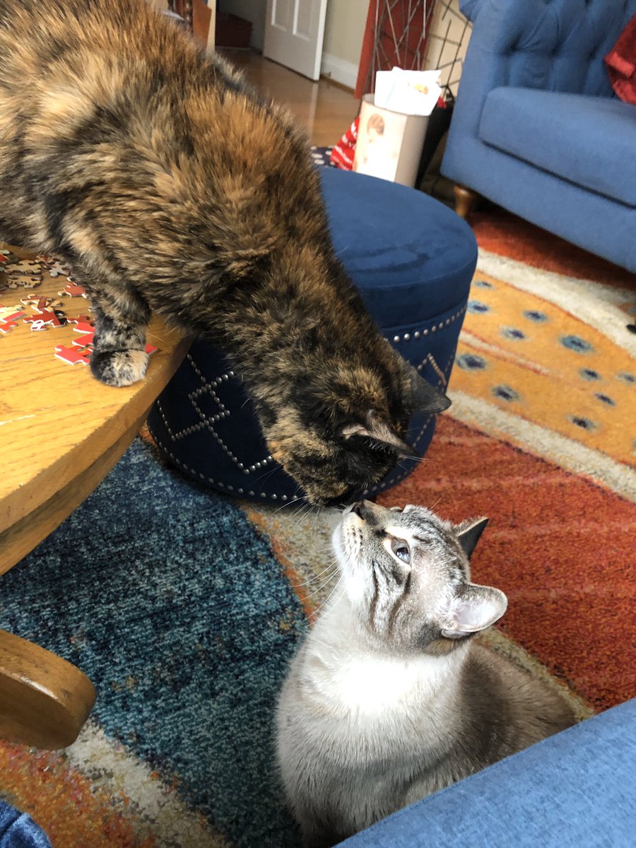 BethJStroble's tweet image. #WebsterAtHome My coworkers wonder “How are you?”