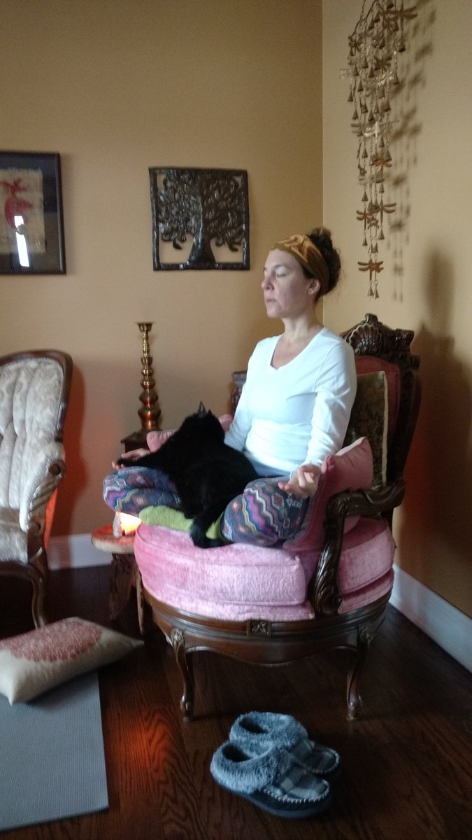 My cat used to do yoga with me. Now he just shows up for Meditation at the end of my practice... #WeRBeach #SpringMeOut #BeachAtOurBest #YogaDuringLockDown <a href="/ptbeachitalian/">@ptbeachitalian</a> <a href="/ptbeachsuper/">Will Smith</a> <a href="/NaGrosshandler/">Nathan Grosshandler</a>
