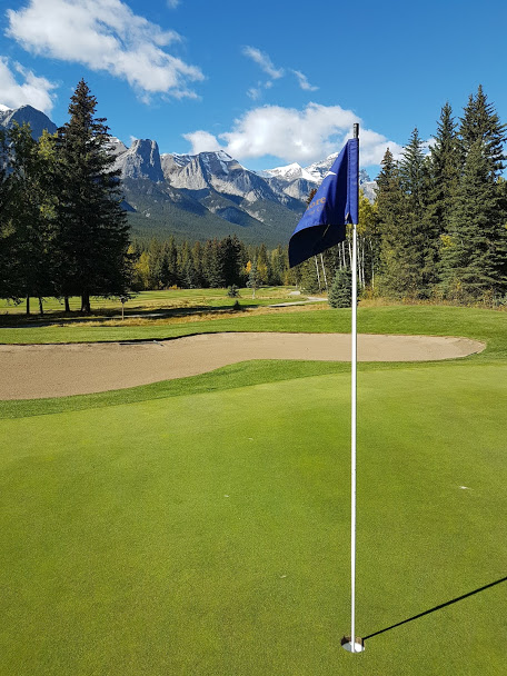 Bill Dreger tweet media